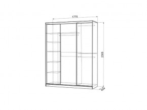 Шкаф-купе Бассо 2-600 с зеркалом венге/белый в Усть-Катаве - ust-katav.magazinmebel.ru | фото - изображение 3