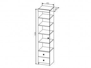 Шкаф Сканди ШД450.1 в Усть-Катаве - ust-katav.magazinmebel.ru | фото - изображение 2